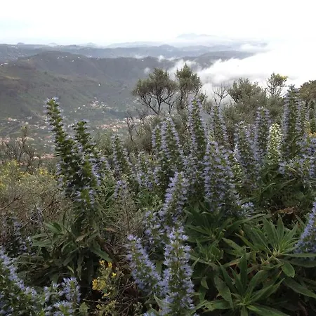 펜션 Tenteniguada Enjoy Nature
