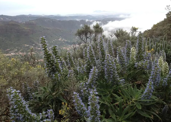 Vakantiehuis Tenteniguada Enjoy Nature